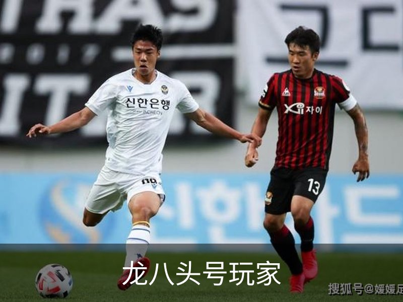 关于龙八头号玩家
